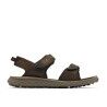 Cordovan / Black