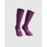 Alchemy Purple