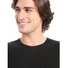 icebreaker Merino 175 Everyday SS Crewe - Merino shirt - Men's | Hardloop