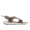 Wet Sand / Safari