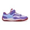 Purple / Chili
