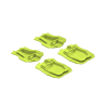 Oasis