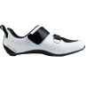 Northwave Tribute Carbon - Sapatos ciclismo estrada homem | Hardloop
