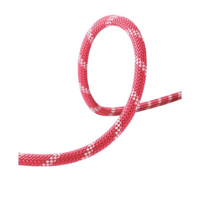 Performance Static 10,5mm - Statisch touw