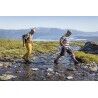 Fjällräven Abisko Shorts - Short randonnée homme | Hardloop