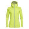 Wild Lime / 0340