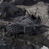 adidas Terrex Skychaser GTX - Vaelluskengät - Naiset | Hardloop