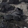 adidas Terrex Skychaser Mid GTX - Dámské nízké turistické boty | Hardloop