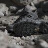 adidas Terrex Skychaser Mid GTX - Dámské nízké turistické boty | Hardloop