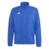 Team Royal Blue