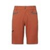 Burnt Sienna