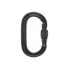 Black Diamond Oval Keylock Screwgate Carabiner - Mosquetão | Hardloop