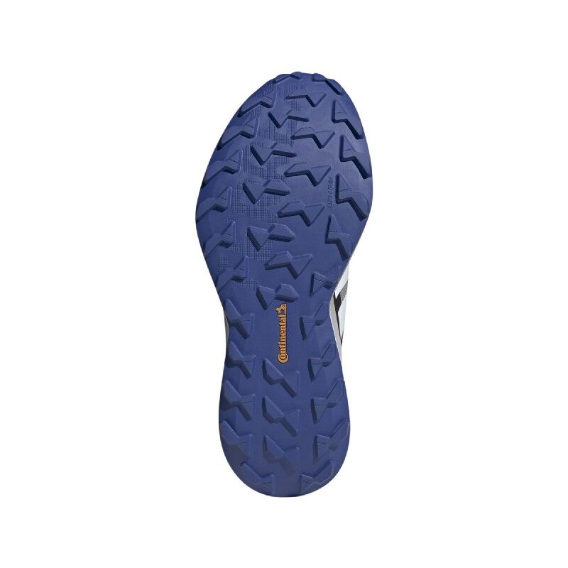 adidas terrex agravic gtx blue