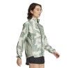Linen Green / Silver Green