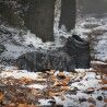 adidas Terrex Snowpitch Cold.Rdy - Sapatilhas caminhada homem | Hardloop