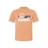 Fresh Apricot