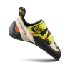 Sulphur / Coral