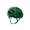 Beetle Green