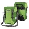Kiwi / Moss Green