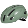 Willow Green