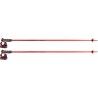 Leki Detect S - Ski poles