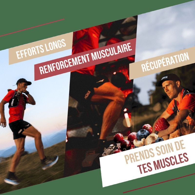 Baouw Fruits Rouges-Cajou - Baton energetyczny | Hardloop