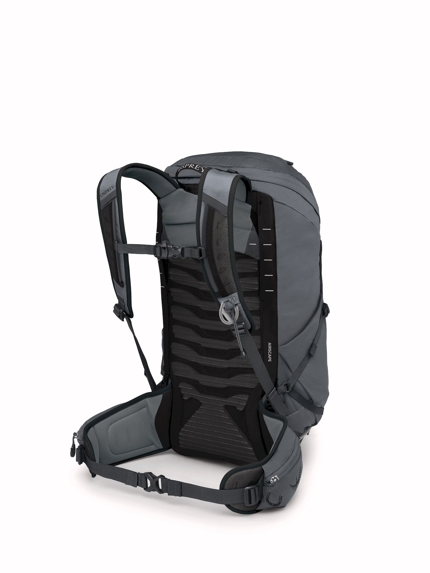 Osprey Talon 26 - Wanderrucksack - Herren | Hardloop