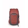 Red Pampas / Coal Grey