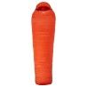Cardinal Orange