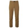 Desert Palm