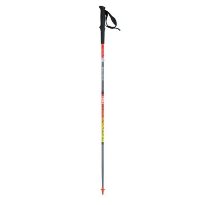 Trail Carbon 4 Trail Ultra Mid - Bastões de trail running