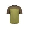 Fern / Olive