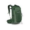 Green Canopy / Pine Leaf Green