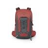 Red Pampas / Coal Grey