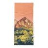 Buff Coolnet UV National Parks - Halstuch | Hardloop