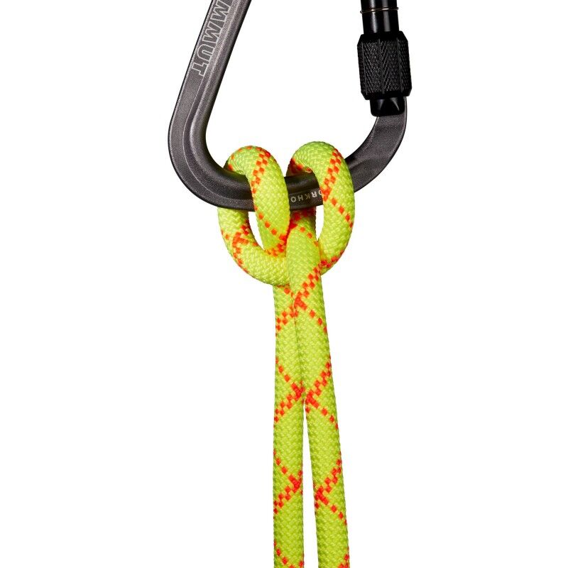 Mammut 9.5 Alpine Core Protect Dry - Corde à simple | Hardloop