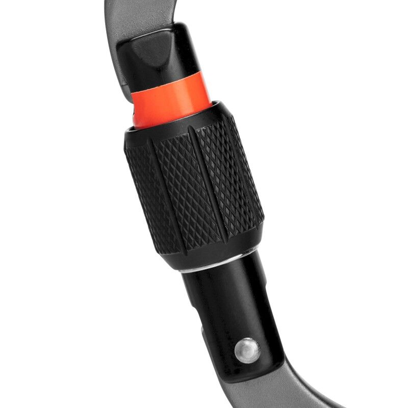 Mammut Workhorse HMS Screwgate - Moschettone | Hardloop