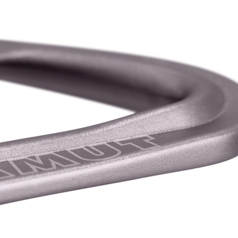 Mammut Workhorse Keylock 6-Pack - Express-sæt | Hardloop