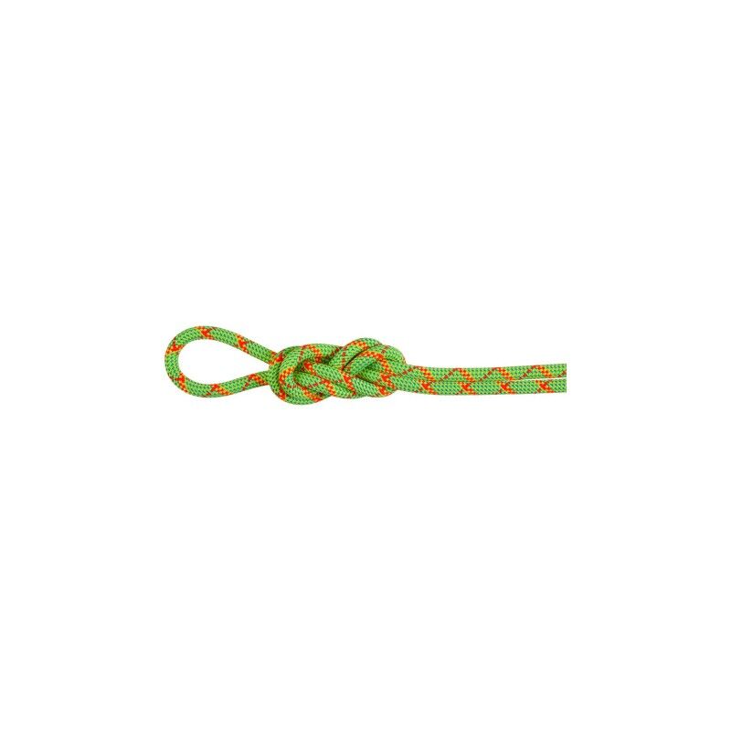 Mammut 8.0 Alpine Core Protect Dry - Kletterseil | Hardloop
