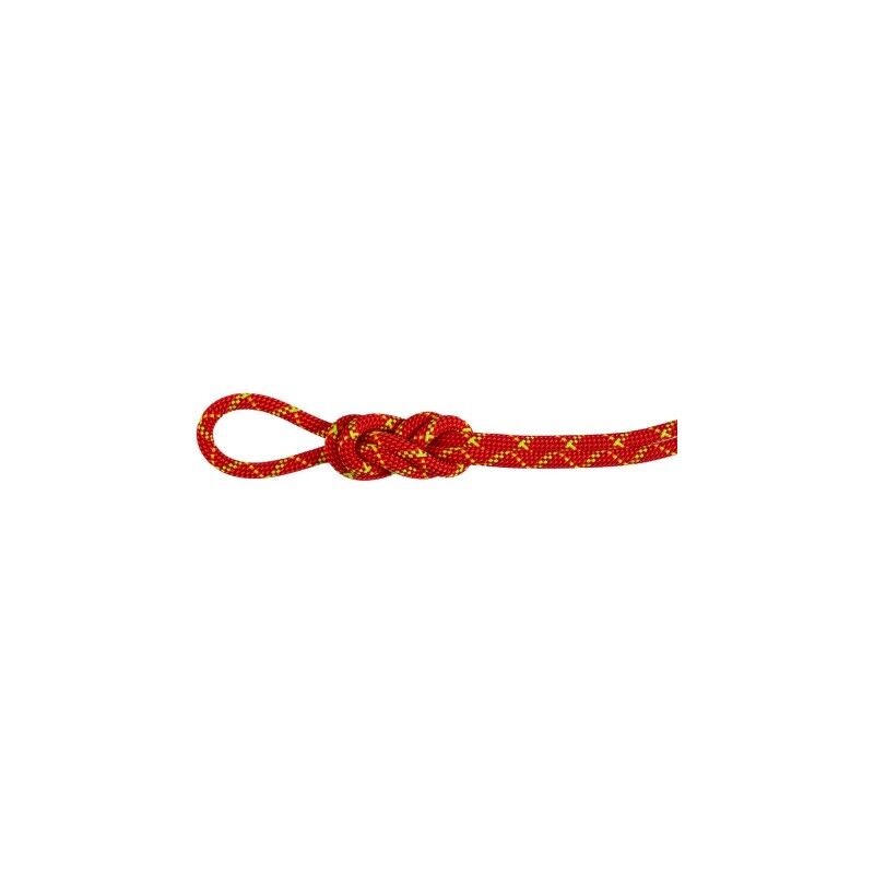 Mammut 8.0 Alpine Core Protect Dry - Climbing rope | Hardloop