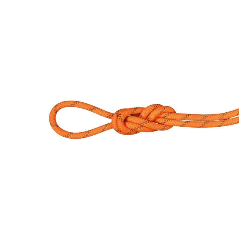 Mammut 8.0 Alpine Dry - Corda da arrampicata | Hardloop