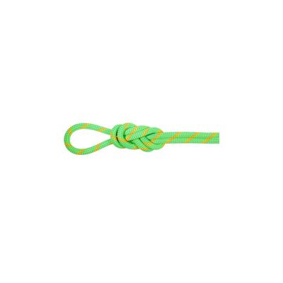 8.0 Alpine Eco Dry - Corda de escalada
