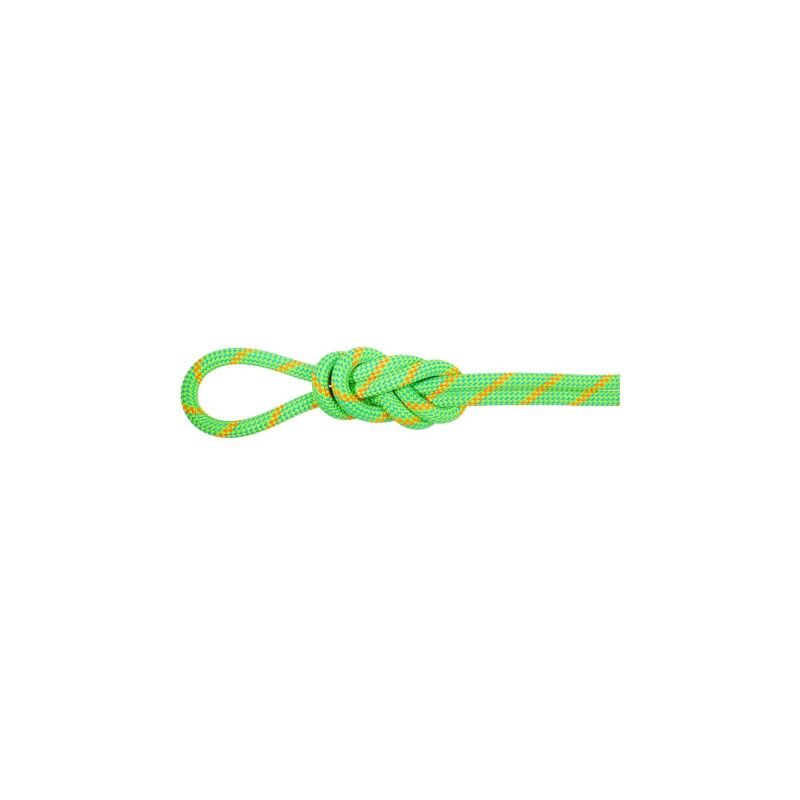 Mammut 8.0 Alpine Eco Dry - Climbing rope | Hardloop