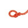 Vibrant Orange / White
