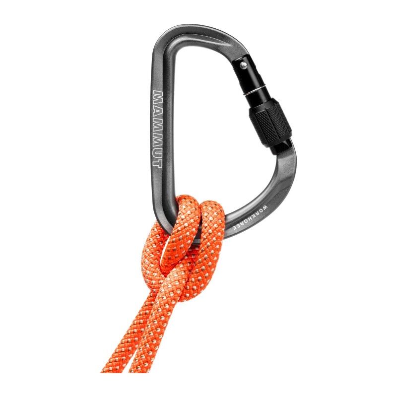 Mammut Workhorse HMS Screwgate - Mosquetón | Hardloop