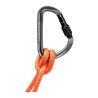 Mammut Workhorse HMS Screwgate - Mosquetão | Hardloop
