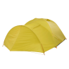 Warm Olive / Chinois Green