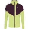 Sunny Lime / Vinaccia