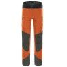Warm Orange