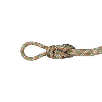 9.5 Gym Classic - Single rope